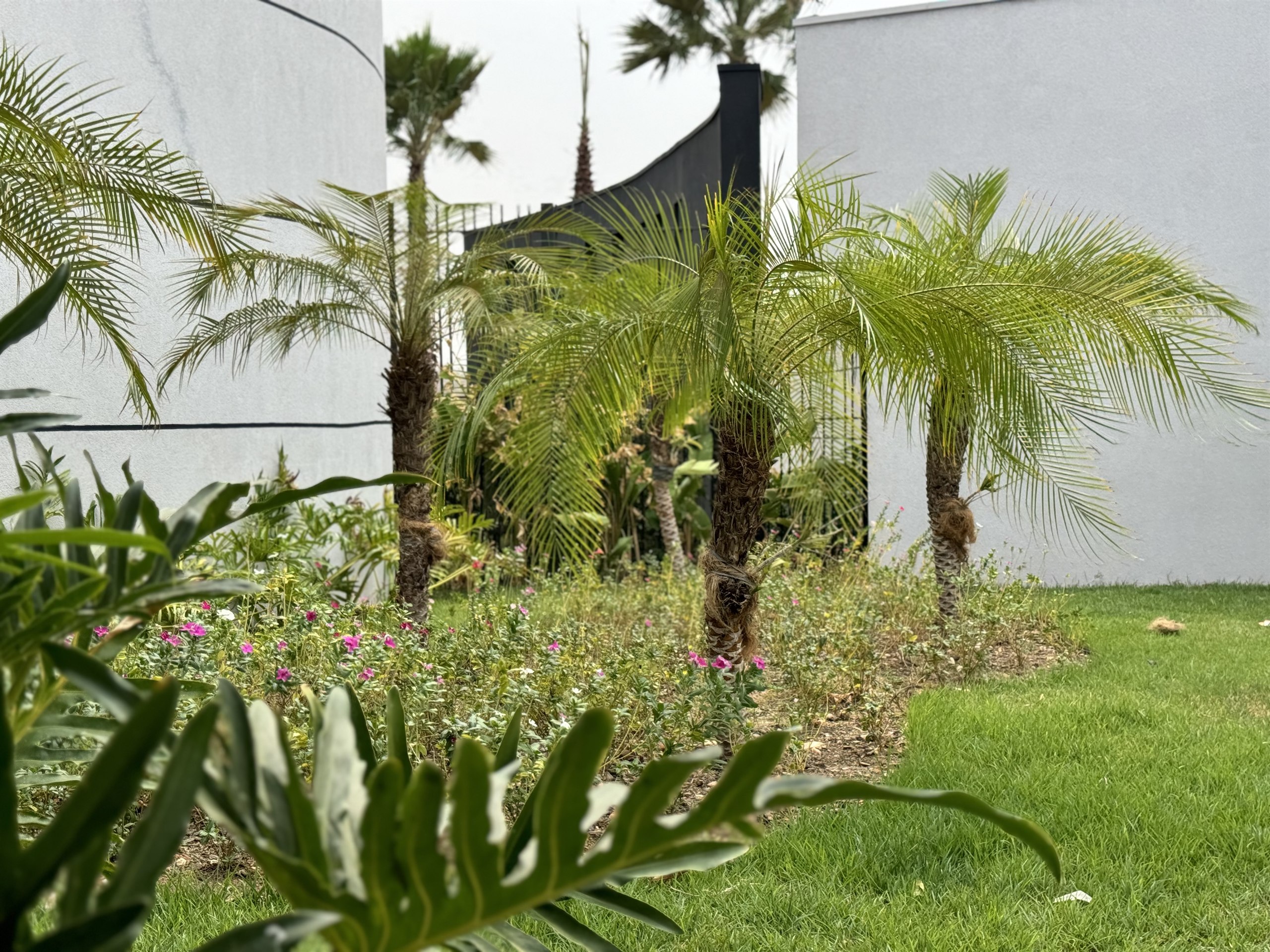 Alamedas e Casas Abitte Bordeaux